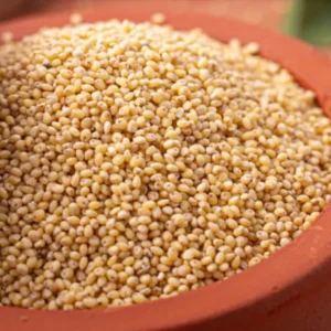 Cooked Proso Millet – Panivaragu